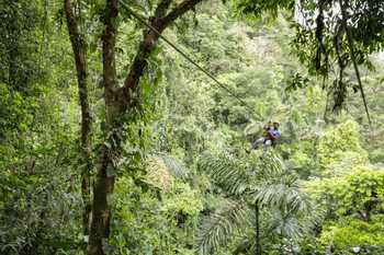 Arenal Canopy Tour